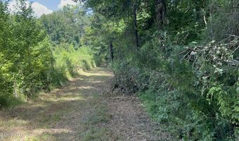 001 Farr Rd, Bolton, MS 39041