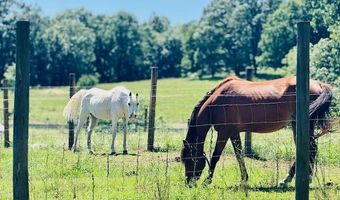 7015 Gamble Rd, Birchwood, TN 37308