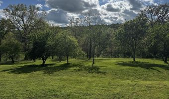 12459 County Road 5-402, Ava, MO 65608