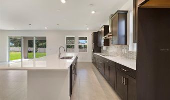 3497 LEMON BUTTON Trce, Apopka, FL 32712