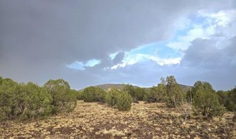 Lot 9 Pinon Valley Ranch, Concho, AZ 85924