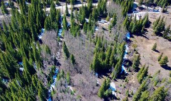 1221 Roberts Rd Lot 14, Alma, CO 80420