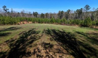 County Road 25, Banks, AL 36005