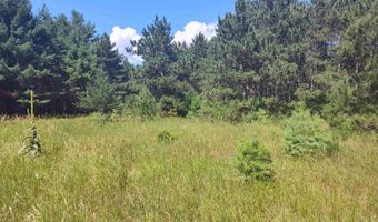 Lot 114 County Road Z, Arkdale, WI 54613