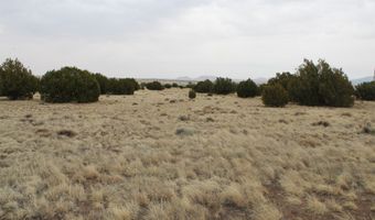 21 County Rd, Concho, AZ 85924