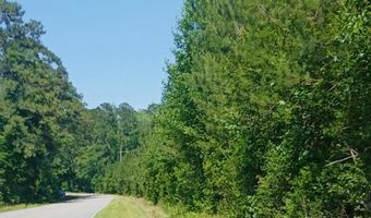 82 Acres Point Caswell Rd, Atkinson, NC 28421