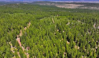 8193 Carlsberg Rd, Alturas, CA 96101