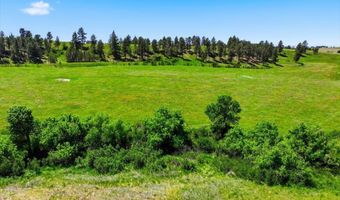 Cattle Drive lot 6, Belle Fourche, SD 57717