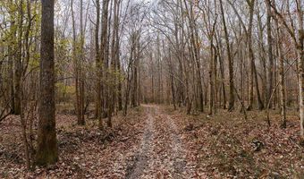 Maddox Road, Ackerman, MS 39735