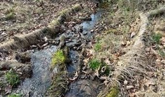 SHANKTOWN Road lot 10, Big Pool, MD 21711