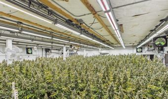 Fickle Hill Road, Arcata, CA 95521