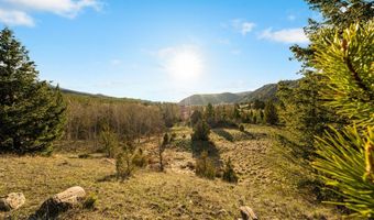 1470 Lime Spur Rd & 44 Two Meadows Dr, Anaconda, MT 59711