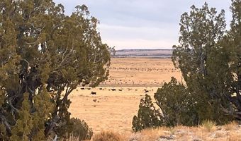 County Road 91.9, Aguilar, CO 81020