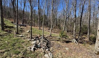 ES71 Twisted Oak Path, Banner Elk, NC 28604