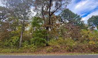 Goodwin Cove lot 29, Ash Flat, AR 72513
