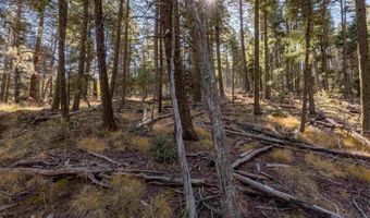 Back Basin Rd lot 145, Angel Fire, NM 87710