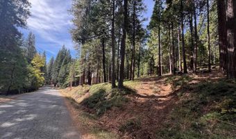 646 Dean Way, Arnold, CA 95223