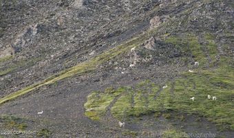 45161 Glenn Hwy, Chickaloon, AK 99674