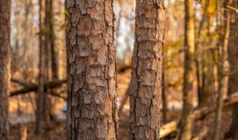 249 W Chapman Rd, Belton, SC 29627