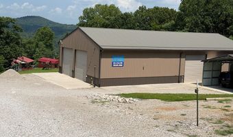 955 Livingston Boat Dock Rd, Allons, TN 38541