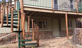 131 County Road 90, Allenspark, CO 80510