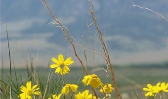 Rio Lane lot Bvr 949-10, Belfry, MT 59008