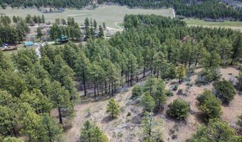 135 Meadow Ln, Bayfield, CO 81122