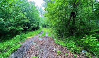 13 44 Ac Chestnut Ridge Rd, Allardt, TN 38504
