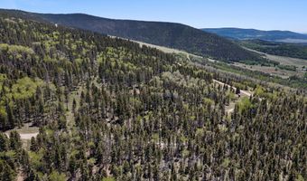 Lot 1267 Starlight Overlook, Angel Fire, NM 87710