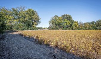 7 Acres Snake Rd, Athens, AL 35611