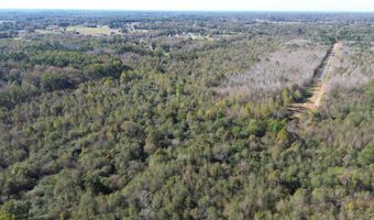Lot 31 Whitetail Ridge Rd, Austin, AR 72007