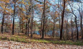 LONGVIEW LANDING LANE, Arley, AL 35541