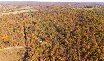 755 County Road 224a, Alton, MO 65606