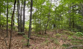 7 Beechwoods At Intervale Dr, Bartlett, NH 03812