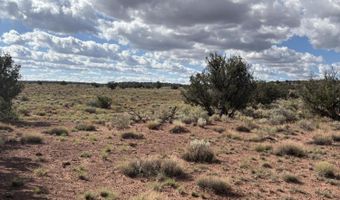 E N CR 5576, Concho, AZ 85924