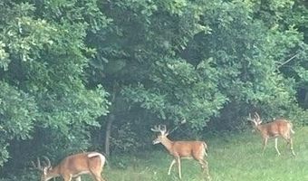 19 Th Pass Lot 19, Arkdale, WI 54613