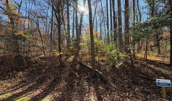 9- F Dulwich Dr, Amherst, VA 24521