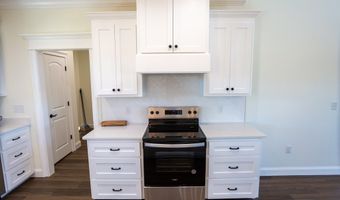 4419 Altamaha School Rd, Baxley, GA 31513