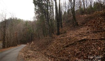 Green Ridge Falls Road, Barnardsville, NC 28709