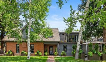 101 E Hallam St, Aspen, CO 81611