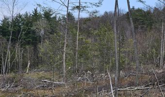 295 Shellstone Rd, Amsterdam, NY 12010