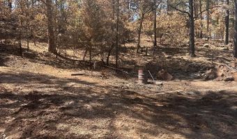 9087 S Pine Dr, Beulah, CO 81023
