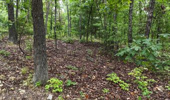 County Road Jj-416, Ava, MO 65608