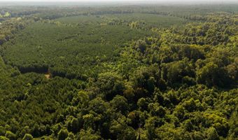 235 Woodrow Martin Rd, Brandon, MS 39042