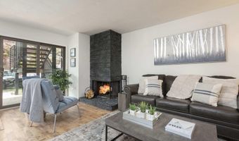 210 E Cooper Ave 1C, Aspen, CO 81611