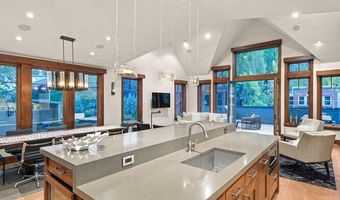 719 E Hopkins Ave 202, Aspen, CO 81611