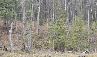 295 Shellstone Rd, Amsterdam, NY 12010