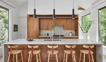 612 W Francis St, Aspen, CO 81611