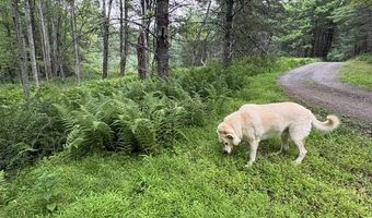 154 Lang Rd, Accord, NY 12404
