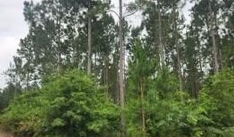 00 Pleasant Grove Church Road B, Albany, GA 31707